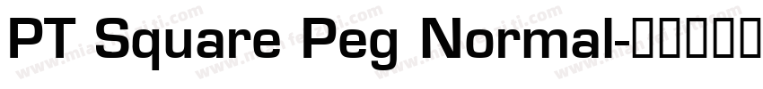 PT Square Peg Normal字体转换